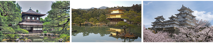 日本东京城市建筑风光夜景街道街景富士山樱花旅游风景图片照素材插图9