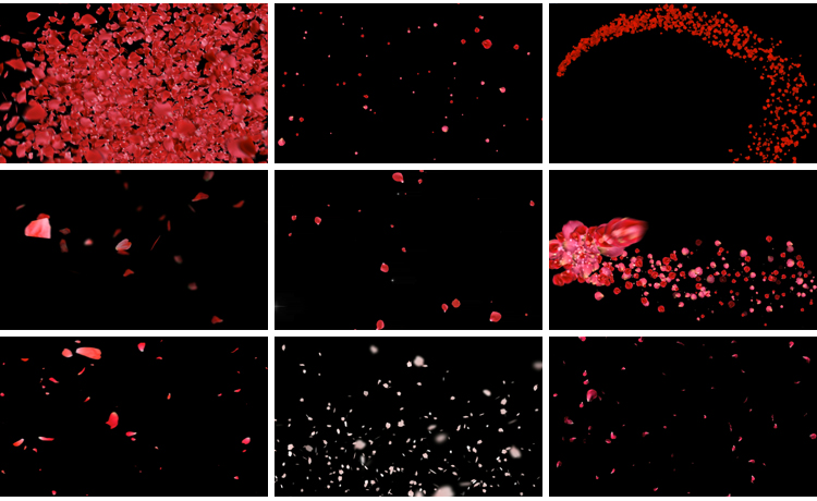 花瓣花朵飞舞飘落动态桃花玫瑰花特效动画pr_ae透明通道视频素材插图6