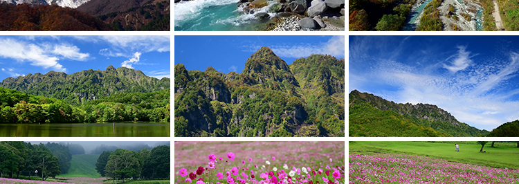 4K山川河流瀑布湖泊云海花朵花草植物自然风景实拍高清长视频素材插图6