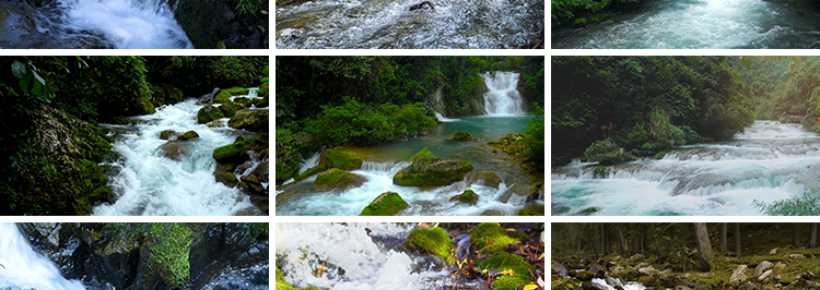 山涧溪流岩石小溪石头小河水流大自然生态山泉高山流水短视频素材插图6