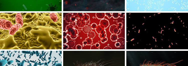 病毒细菌病菌感染细胞微生物医学传染疾病传播寄生虫高清视频素材插图6