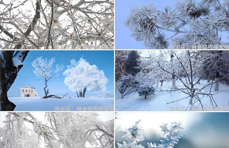 冬季冬天雾凇雪景树枝积雪风景素材高清旅游自然治愈系短视频背景插图6