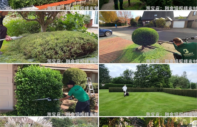 修剪草坪树木除草小说推文素材国外解压直播自媒体高清短视频引流插图5