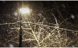 夜晚大雪纷飞路灯视频素材