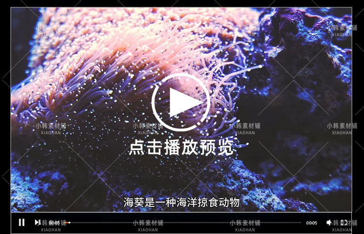 野生动物纪录片怪诞星球全12集中视频自媒体解说高清剪辑视频素材插图6