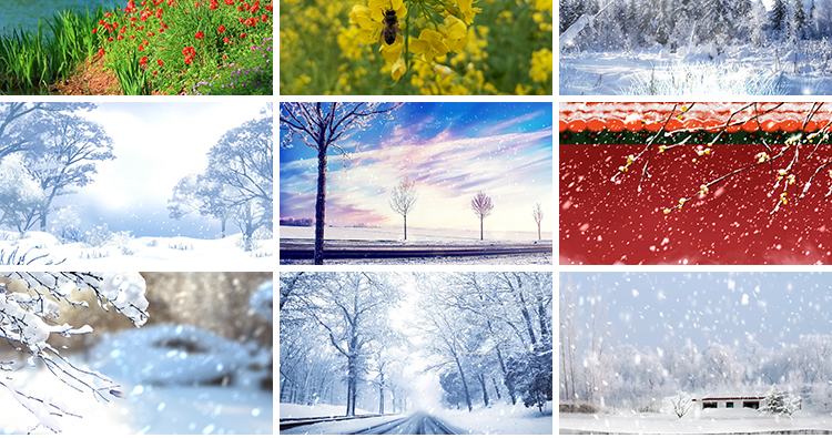 春夏秋冬天四季变换花草一年四季花草雪景LED大屏幕背景视频素材插图7