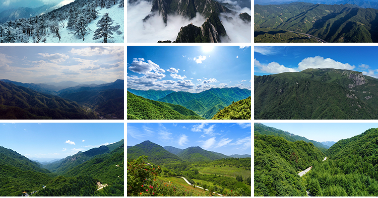 秦岭山脉风光大自然风景云海云雾缭绕太白山航拍延时实拍视频素材插图7