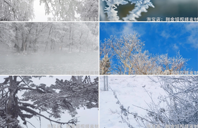 冬季冬天雾凇雪景树枝积雪风景素材高清旅游自然治愈系短视频背景插图7