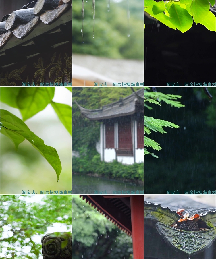 竖屏雨天雨景雨滴风景素材高清氛围感自然唯美意境短视频背景剪辑插图6