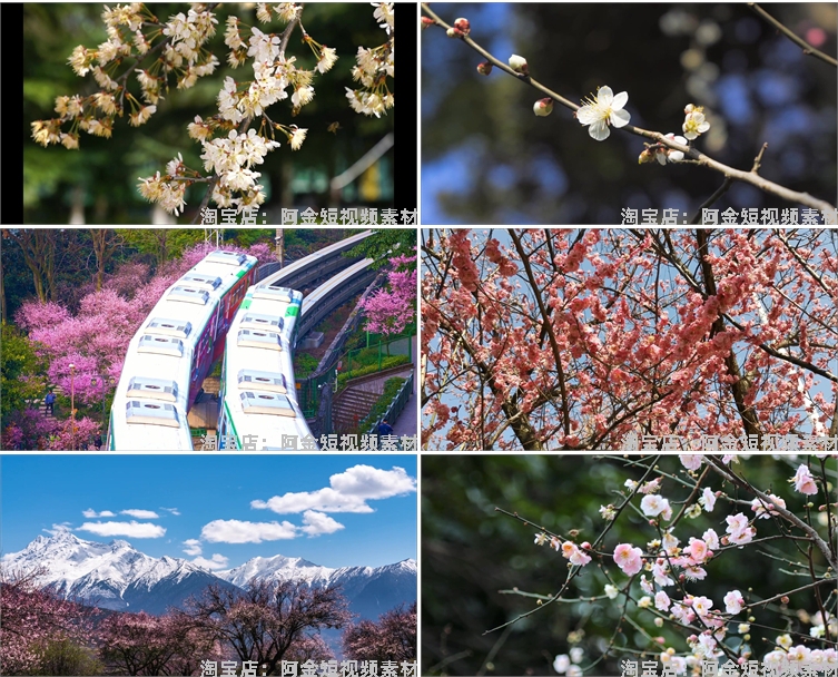 唯美浪漫桃花春暖花开乡村风景素材高清旅游自然治愈系短视频背景插图7