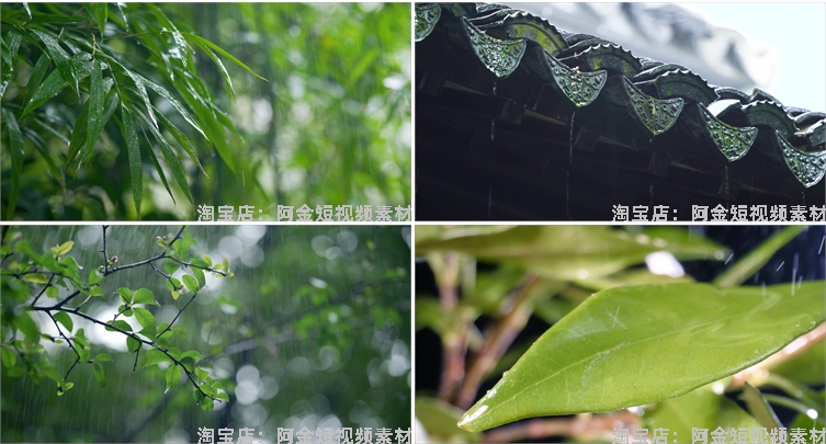 下雨雨滴绿叶清新绿色植物风景素材高清旅游自然治愈系短视频背景插图7