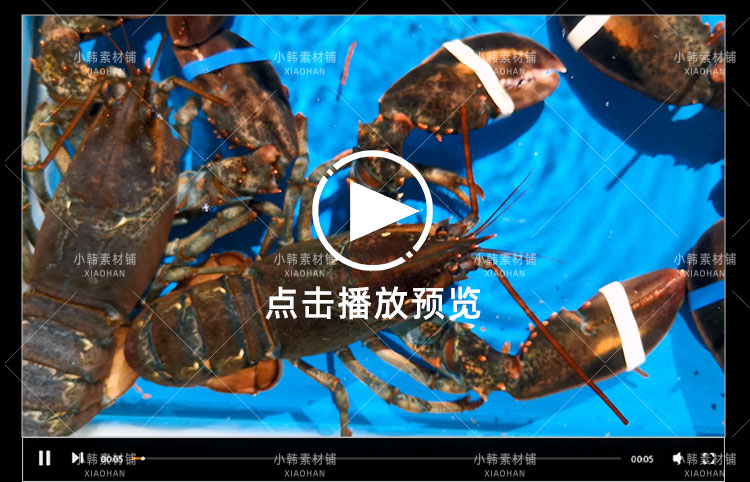 海鲜美食美味横版高清抖音自媒体pr剪辑背景视频素材插图6