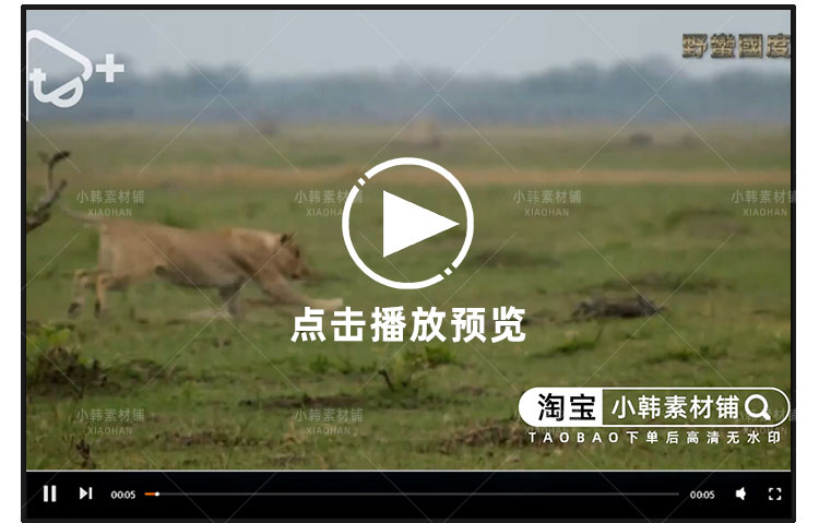 野生动物版权利的游戏野蛮王国1-3季自媒体快手抖音视频剪辑素材插图5