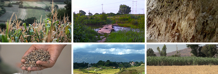 农村生活风景象风光故乡怀旧念旧家乡农民种植插秧庄稼短视频素材插图5