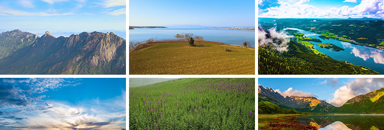 自然风景高山流水清新花草旅途风光绽放春天植物鲜花朵短视频素材插图5