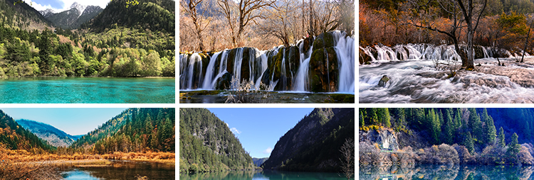 四川九寨沟旅游风景风光七彩池瀑布照片摄影抖音JPG图片设计素材插图5