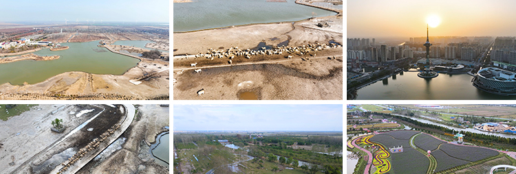 江苏北盐城城市建筑夜景地标地区风光麋鹿园高清航拍实拍视频素材插图5