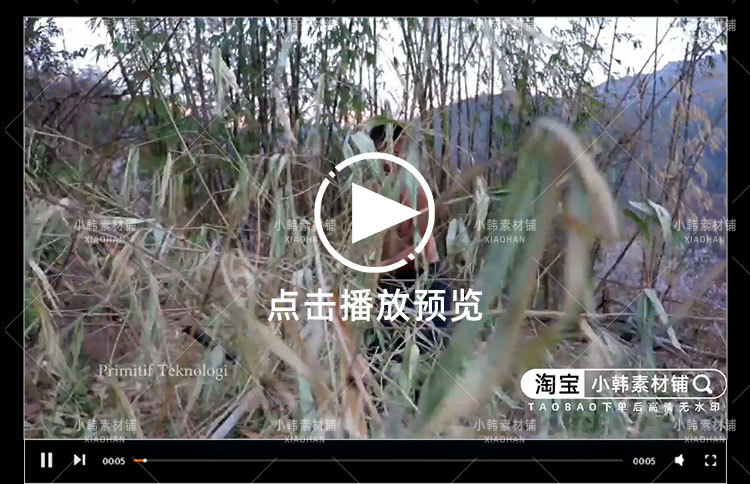 捅马蜂窝纪录片马蜂猎人1080P自媒体电影解说抖音短视频素材插图4