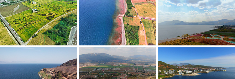 云南澄江抚仙湖环海玉溪江川区旅游景点湖泊自然风景实拍视频素材插图5