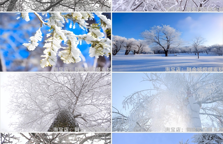 冬季冬天雾凇雪景树枝积雪风景素材高清旅游自然治愈系短视频背景插图5